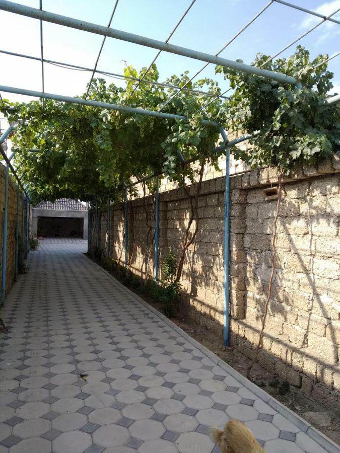 הוילה באקו Cozy House In Bina, Bolluq מראה חיצוני תמונה